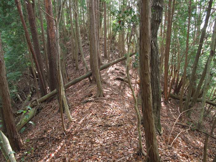 篠山市新荘/前山･馬地山～市野々/モロケ谷の頭～宮代/是次を散策