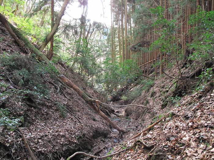 篠山市新荘/前山･馬地山～市野々/モロケ谷の頭～宮代/是次を散策