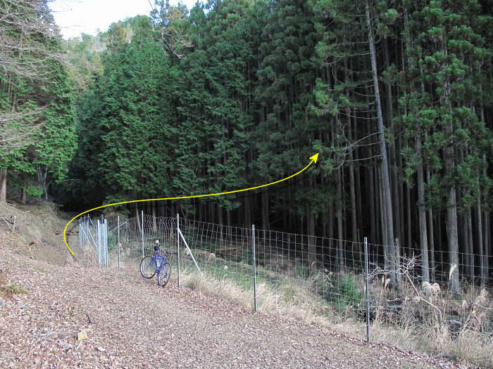 篠山市新荘/前山･馬地山～市野々/モロケ谷の頭～宮代/是次を散策