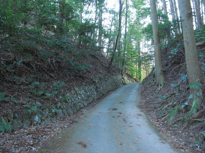 篠山市新荘/前山･馬地山～市野々/モロケ谷の頭～宮代/是次を散策