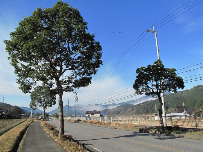 篠山市古市/中山～住山/倉谷山・寺谷山を散策