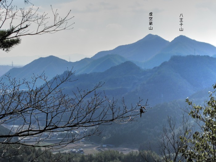 篠山市古市/中山～住山/倉谷山・寺谷山を散策