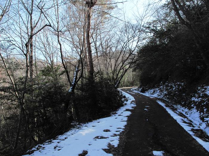 篠山市曽地奥/中山～高嶽を散策