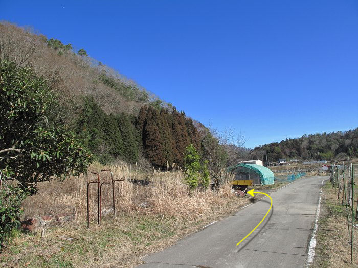 篠山市曽地奥/中山～高嶽を散策