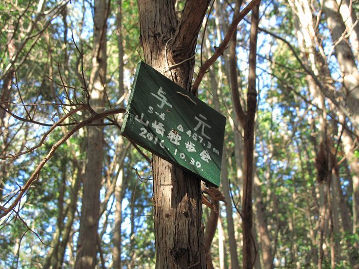 篠山市曽地奥/中山～高嶽を散策