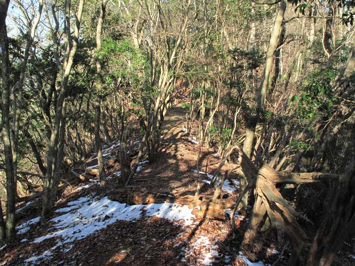 篠山市曽地奥/中山～高嶽を散策