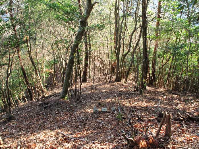 篠山市曽地奥/中山～高嶽を散策