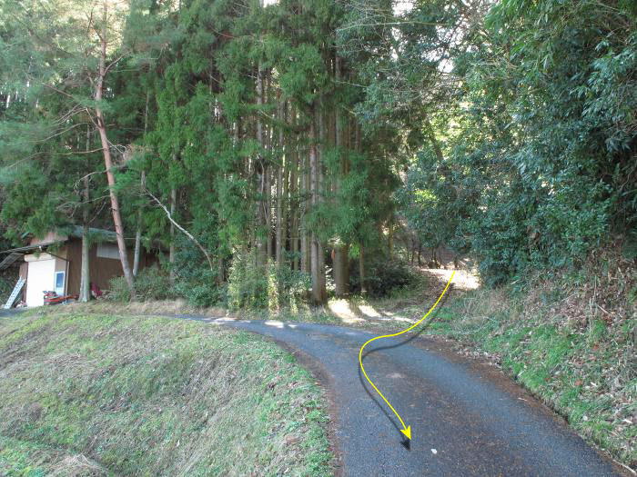 篠山市東吹/東城山～西古佐/火ともし山を散策