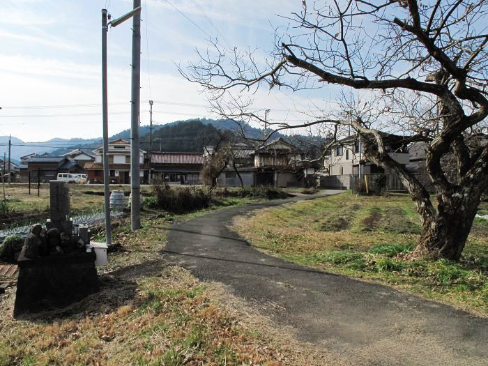 川辺郡猪名川町柏原/大野山を散策