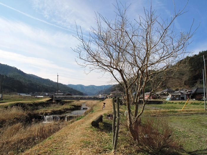 川辺郡猪名川町柏原/大野山を散策