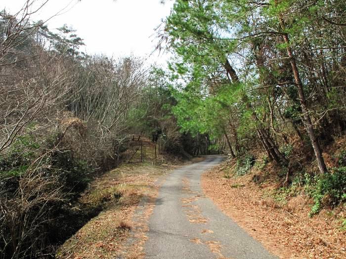 川辺郡猪名川町柏原/大野山を散策