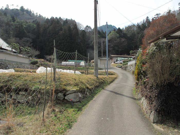 川辺郡猪名川町柏原/大野山を散策