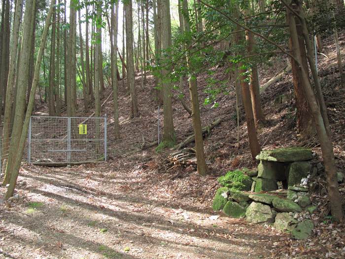 川辺郡猪名川町柏原/大野山を散策