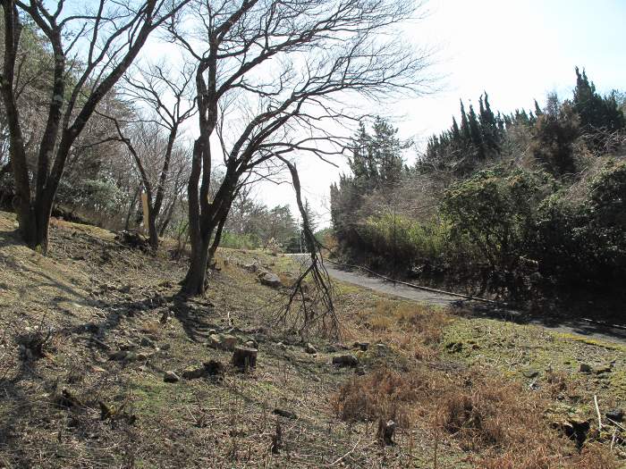 川辺郡猪名川町柏原/大野山を散策