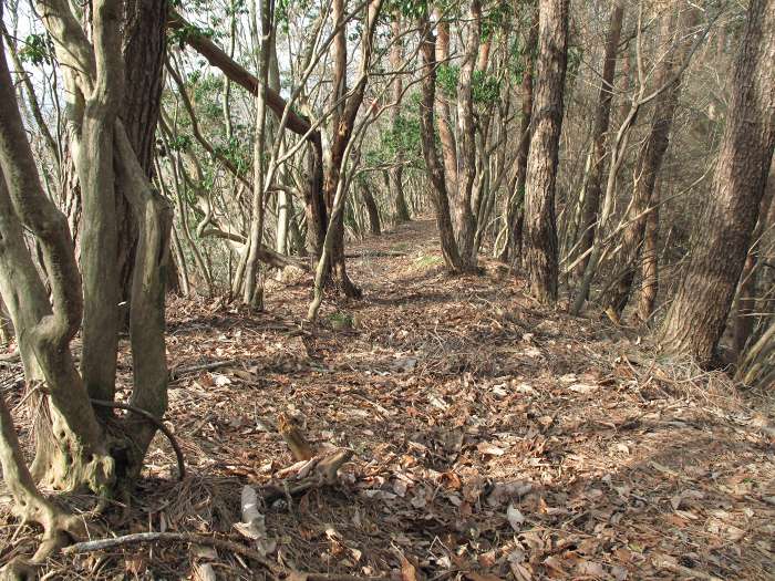 川辺郡猪名川町柏原/大野山を散策