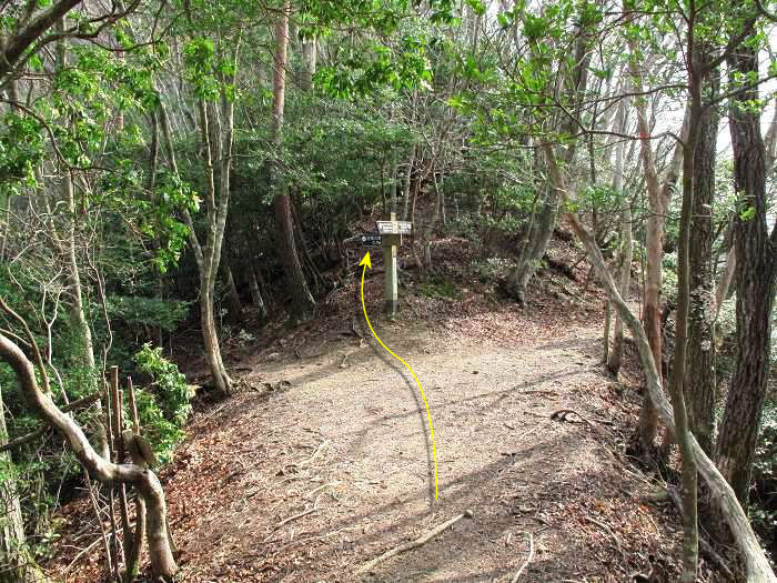 篠山市栗柄/西ヶ嶽～火打岩/御嶽を散策