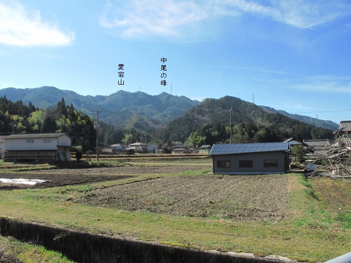 篠山市真南条上/中尾の峰・愛宕山～小枕/宮ヶ谷山を散策