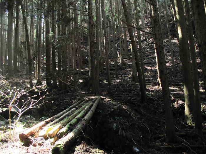 篠山市真南条上/中尾の峰・愛宕山～小枕/宮ヶ谷山を散策