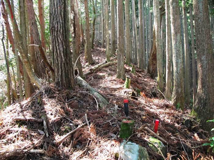 篠山市真南条上/中尾の峰・愛宕山～小枕/宮ヶ谷山を散策