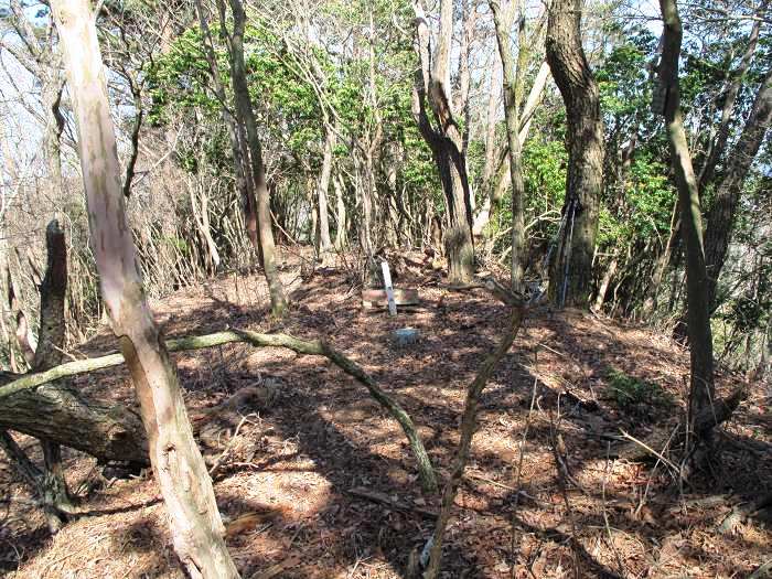 篠山市真南条上/中尾の峰・愛宕山～小枕/宮ヶ谷山を散策