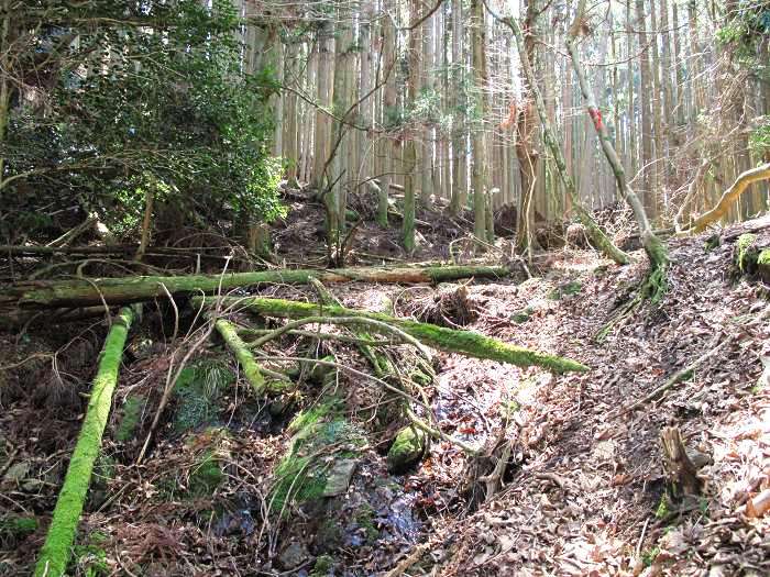 篠山市真南条上/中尾の峰・愛宕山～小枕/宮ヶ谷山を散策