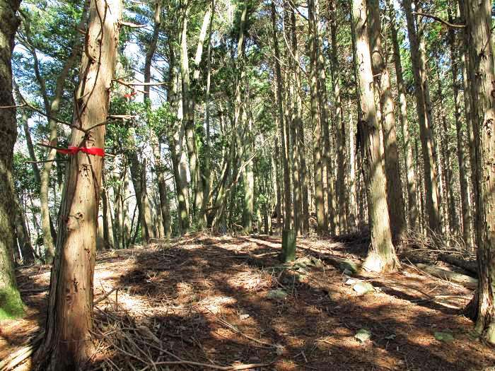 篠山市真南条上/中尾の峰・愛宕山～小枕/宮ヶ谷山を散策