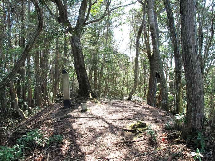 篠山市真南条上/中尾の峰・愛宕山～小枕/宮ヶ谷山を散策