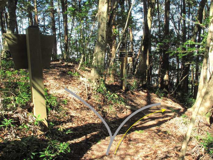 篠山市真南条上/中尾の峰・愛宕山～小枕/宮ヶ谷山を散策