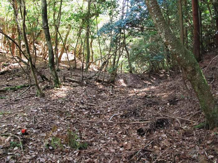 篠山市真南条上/中尾の峰・愛宕山～小枕/宮ヶ谷山を散策