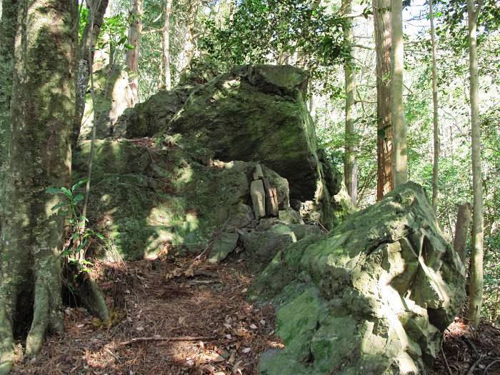 篠山市真南条上/中尾の峰・愛宕山～小枕/宮ヶ谷山を散策