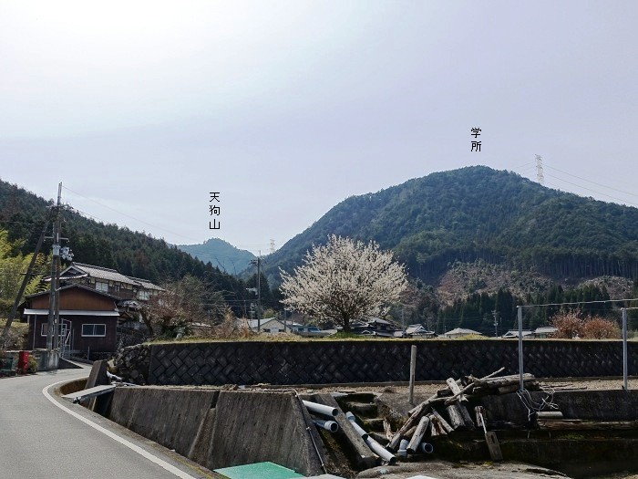 丹波市山南町青田/初原～山中～天狗山～学所を散策