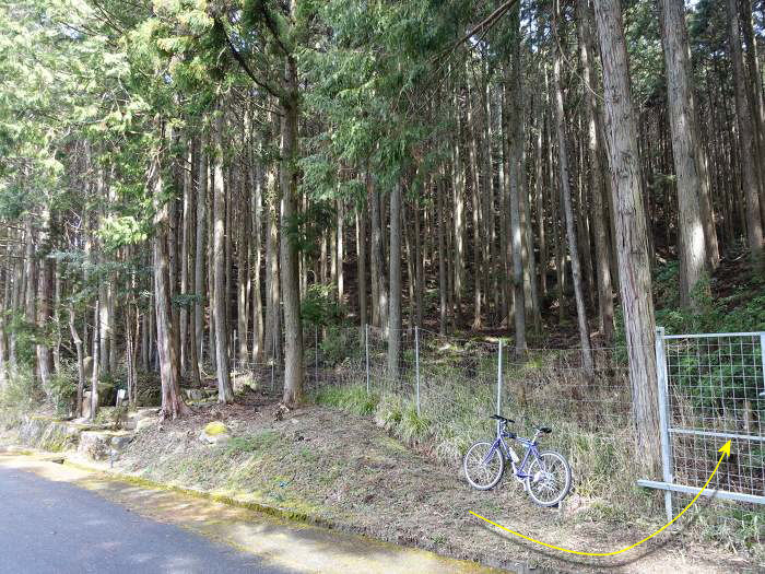 丹波市山南町青田/初原～山中～天狗山～学所を散策