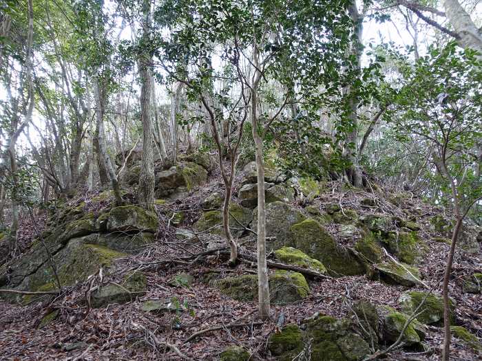 丹波市山南町青田/初原～山中～天狗山～学所を散策