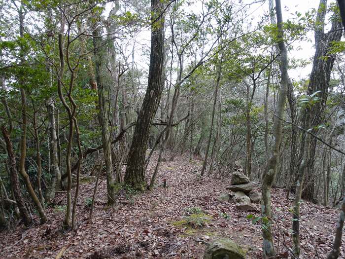 丹波市山南町青田/初原～山中～天狗山～学所を散策