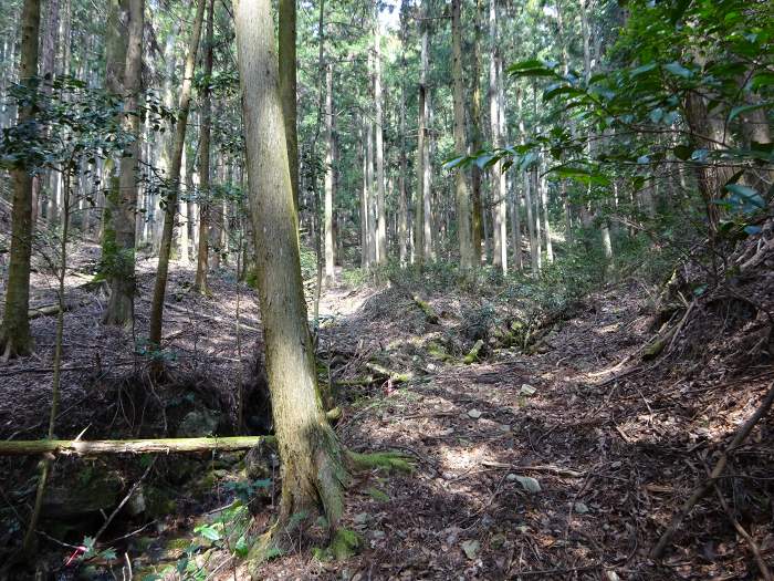 地理院地図に記載の徒歩道記号を辿って行く。小径があって幸先良し