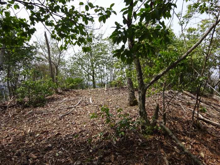 すぐに獅子山に到着。見晴らし良く柏原町の街並みが一望できる