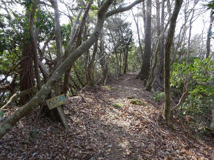 権現山からUターンして譲葉山へ戻り西へ伸びる登山道を下る