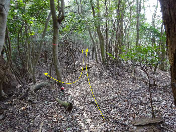 登山道は左へ向かって下るが直進して三角点へ寄る