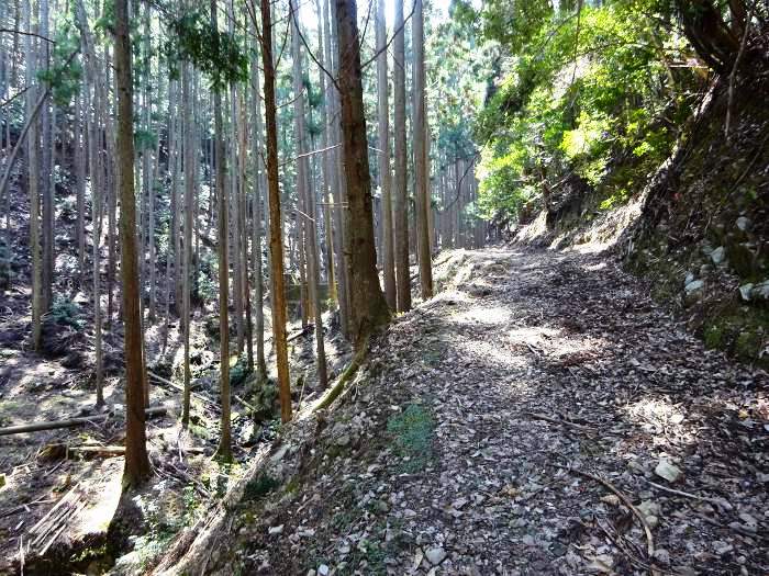 地理院地図に軽車道記号で記された林道を辿って奥へ向かう