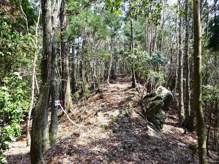 倒木が目立つものの登山道は補修されていて案内板もある。踏み固められて歩きやすい