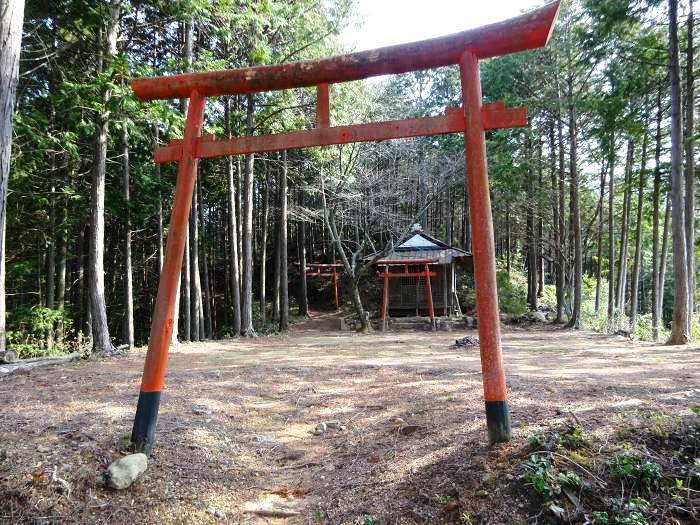 道中、天引見所10ヶ所・稲荷山という看板が立っていたので登ってみる