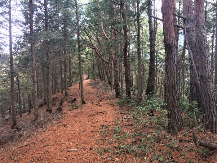 岩屋山～石戸山～高見城山