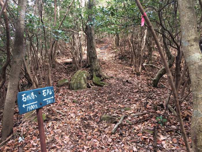 岩屋山～石戸山～高見城山