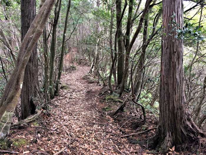 岩屋山～石戸山～高見城山