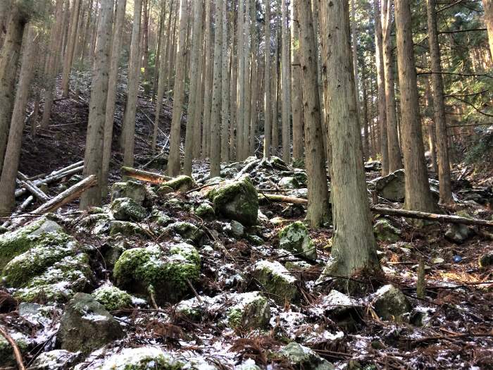 多可郡多可町/大井戸山～丹波市山南町/篠ヶ峰