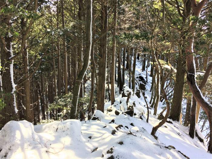 多可郡多可町/大井戸山～丹波市山南町/篠ヶ峰