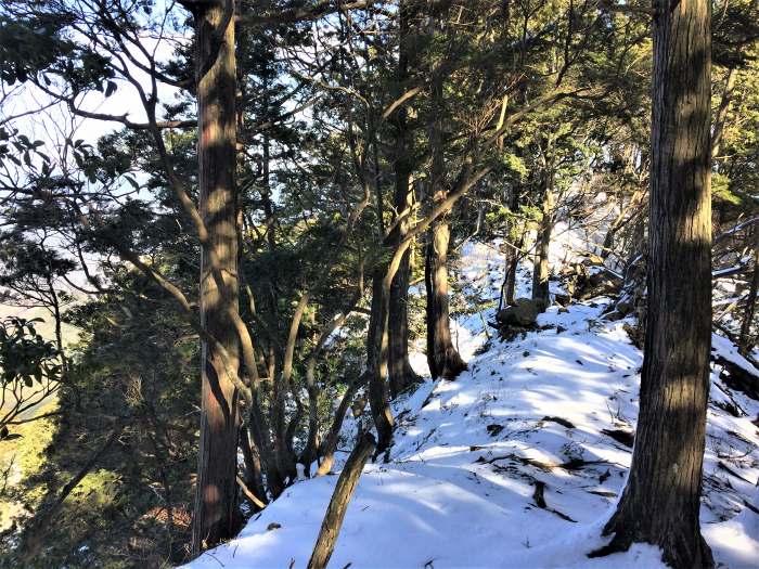 多可郡多可町/大井戸山～丹波市山南町/篠ヶ峰