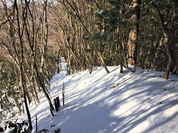 多可郡多可町/大井戸山～丹波市山南町/篠ヶ峰