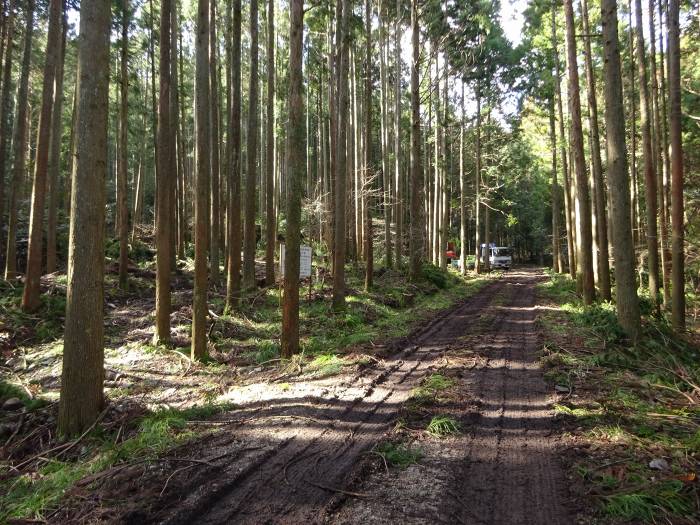 丹波市山南町/テンロク