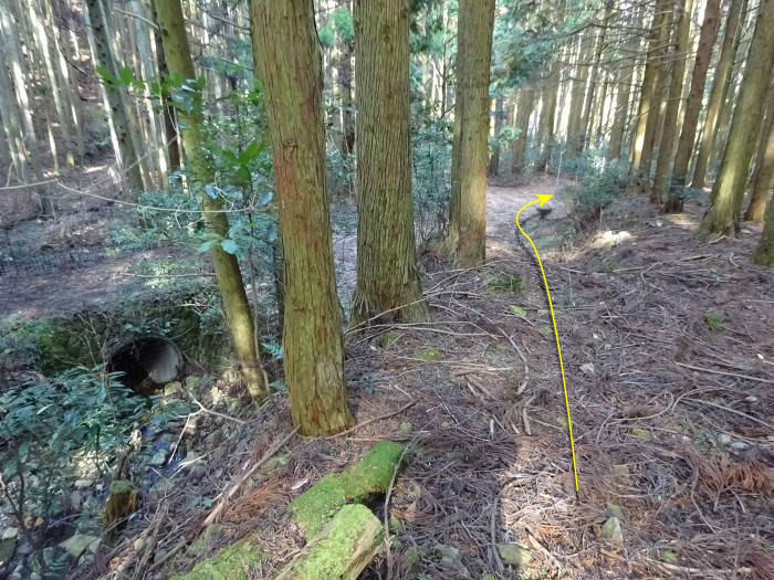 丹波市山南町/テンロク